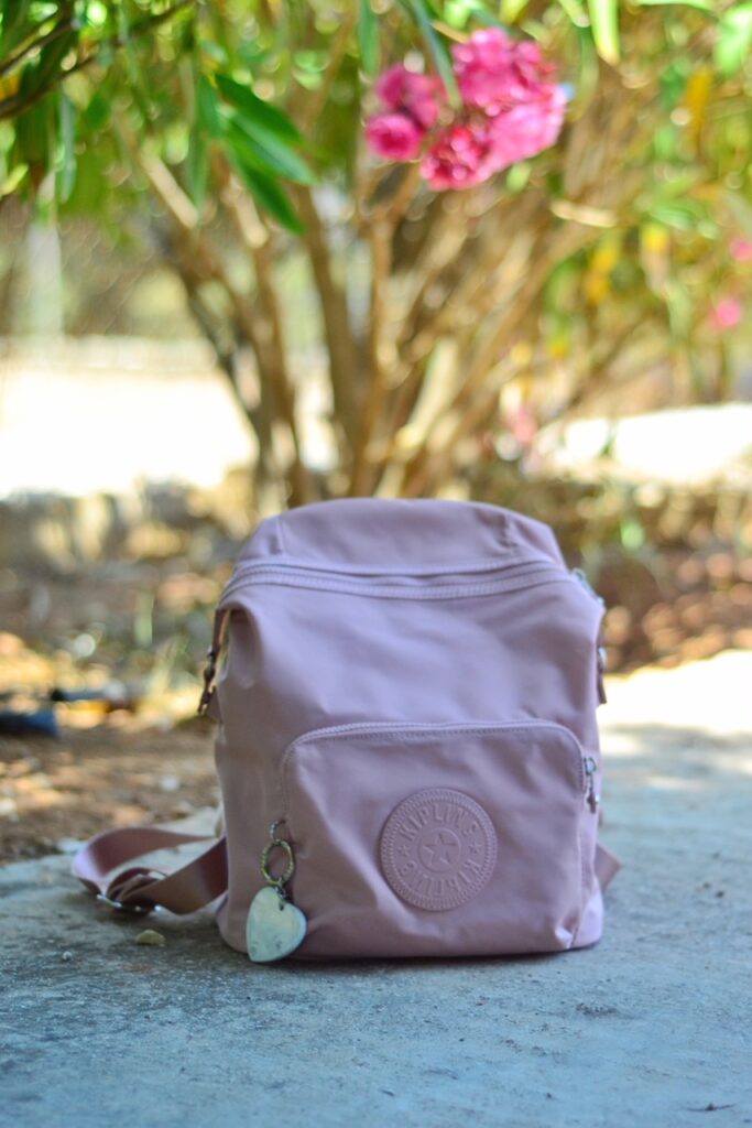 kipling-backpack-naleb-pink